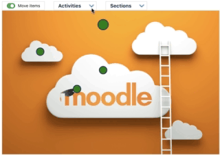 Moodle - Course Format Picture Link - Devlion